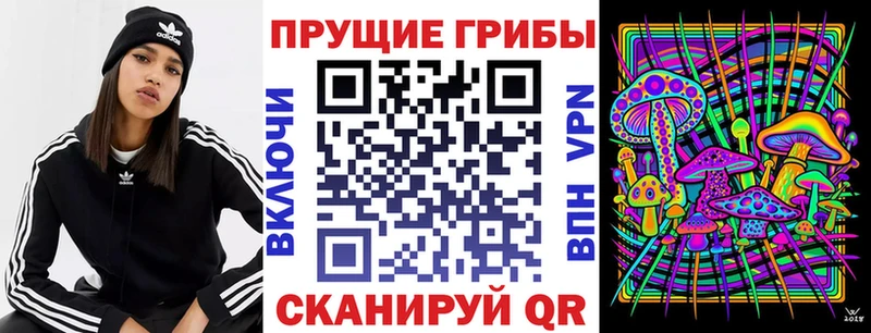 это телеграм Гремячинск Галлюциногенные грибы Psilocybine cubensis